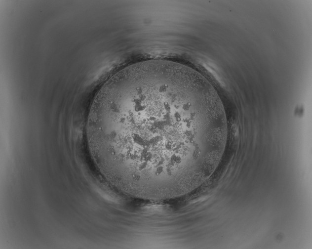 X0000091490499200708161441
