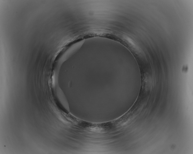 X0000091490500200708161441