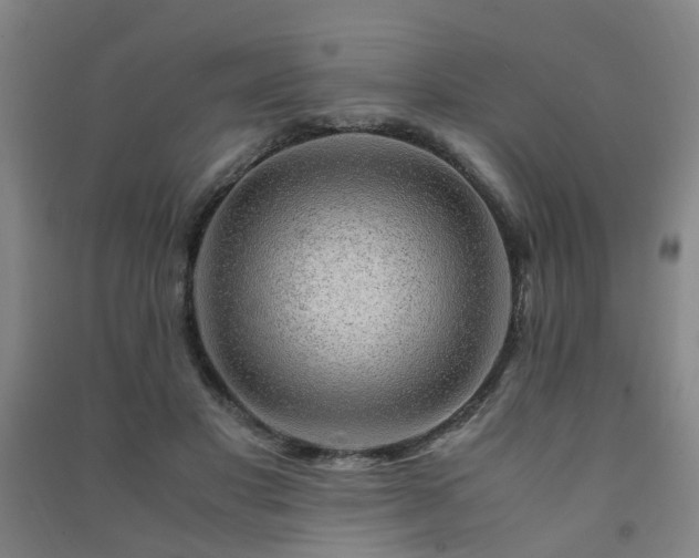 X0000091490501200708161441
