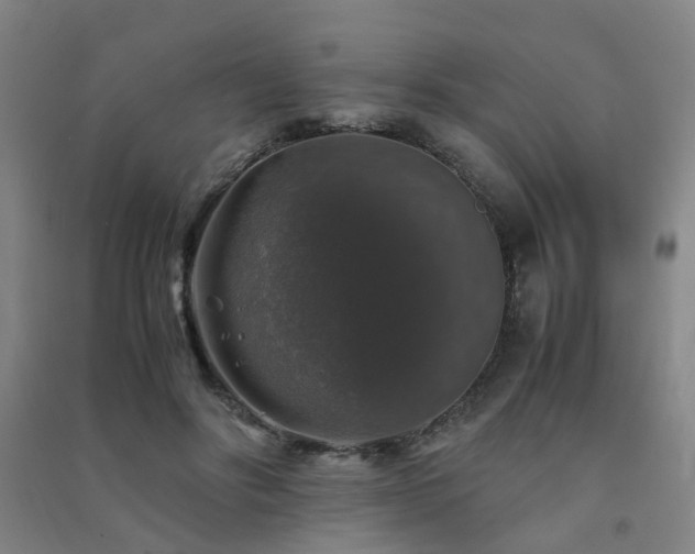 X0000091490502200708161441