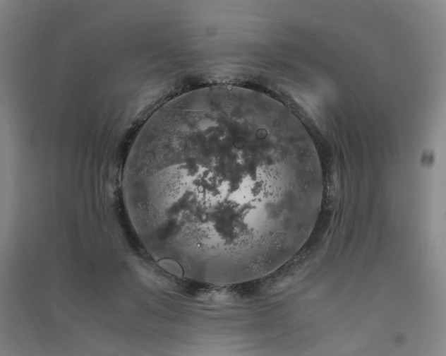 X0000091490503200708161441