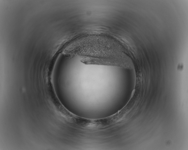 X0000091490504200708161441