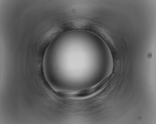 X0000091490505200708161441