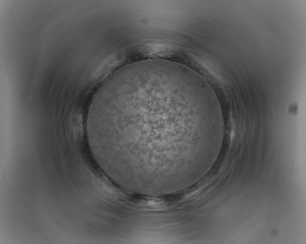 X0000091490506200708161441