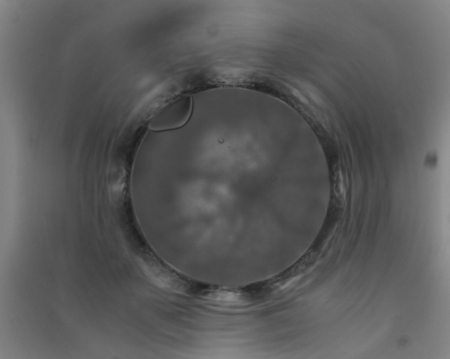 X0000091490507200708161441