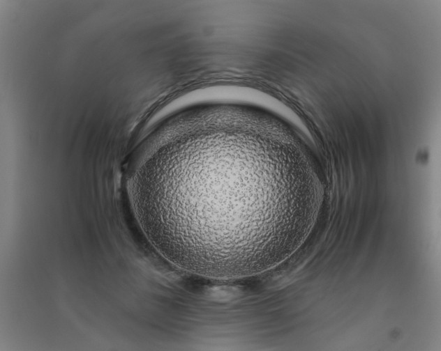 X0000091490508200708161441