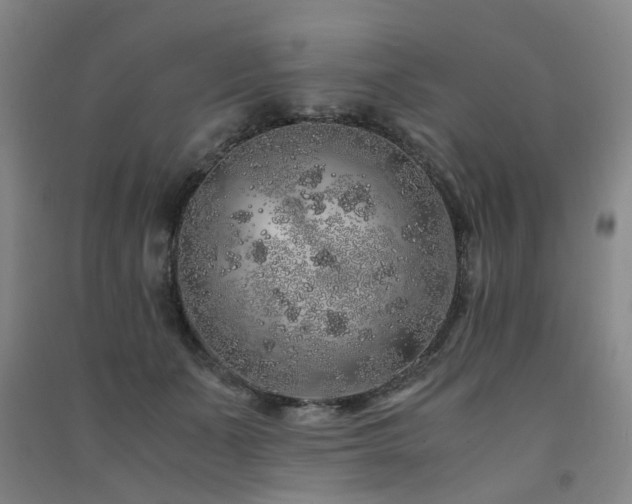 X0000091490511200708161441