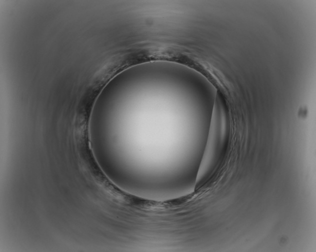X0000091490513200708161441