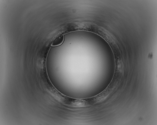 X0000091490514200708161441