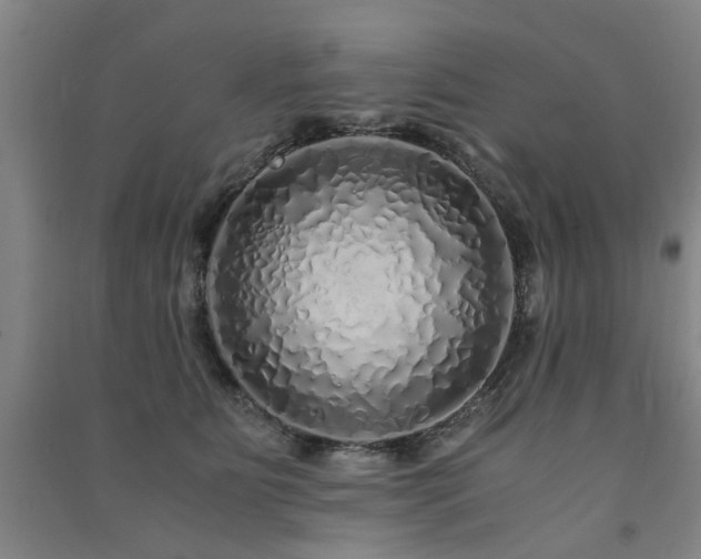 X0000091490515200708161441