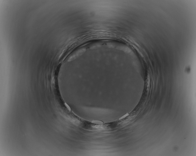 X0000091490516200708161441