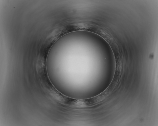 X0000091490518200708161441