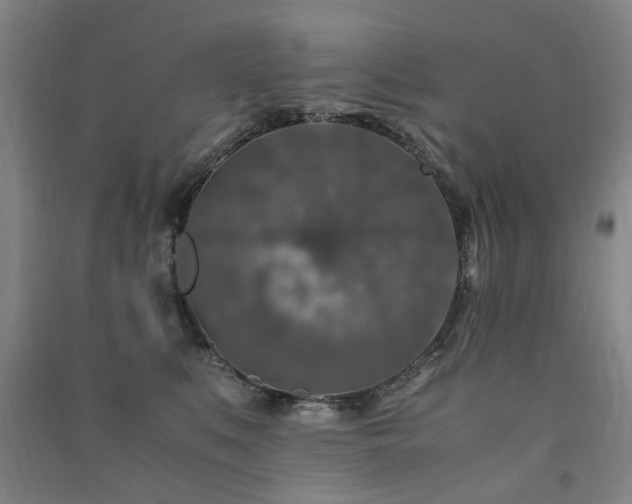 X0000091490519200708161441