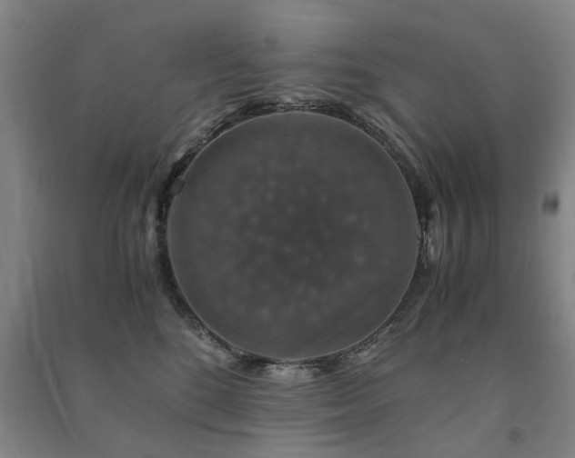 X0000091490520200708161441