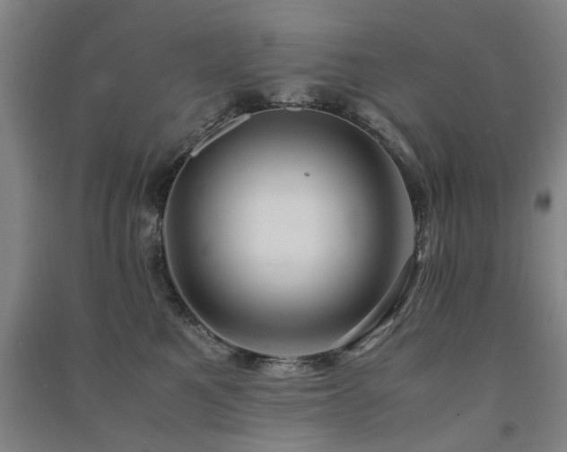 X0000091490521200708161441