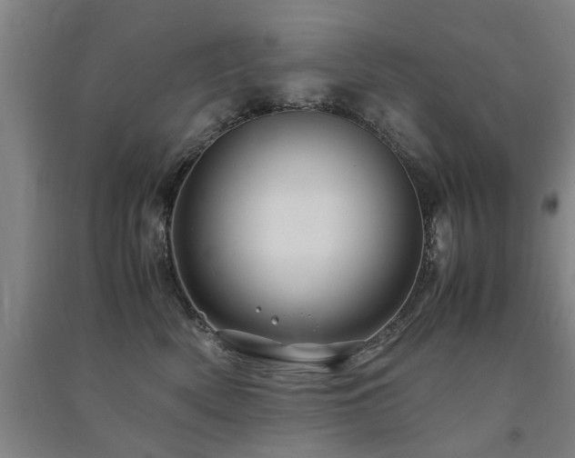 X0000091490522200708161441