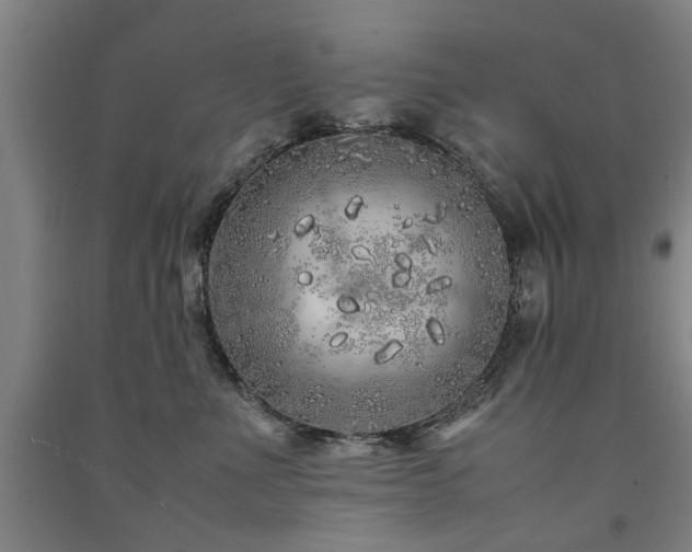 X0000091490523200708161441