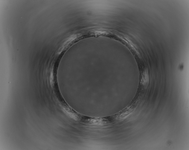 X0000091490524200708161441