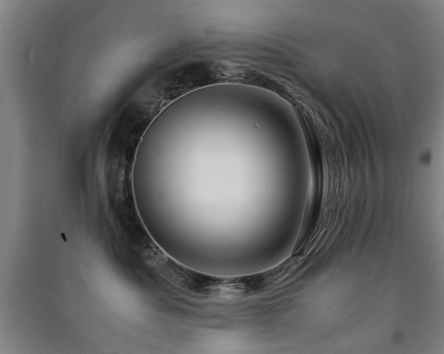 X0000091490525200708161441