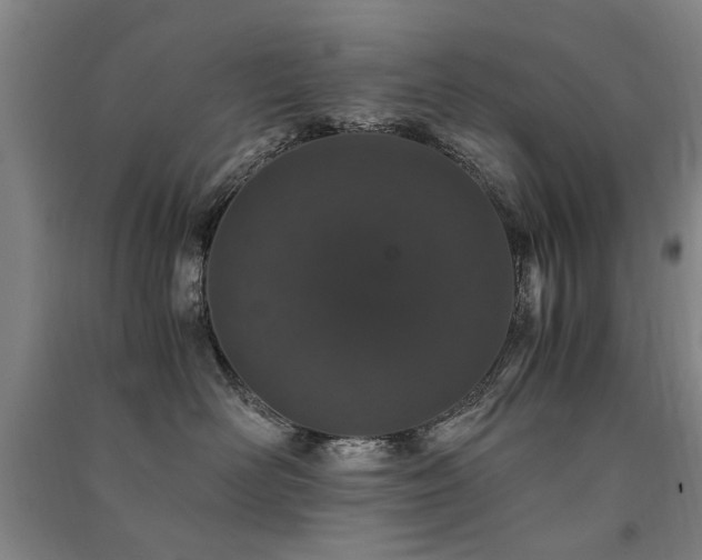 X0000091490526200708161441