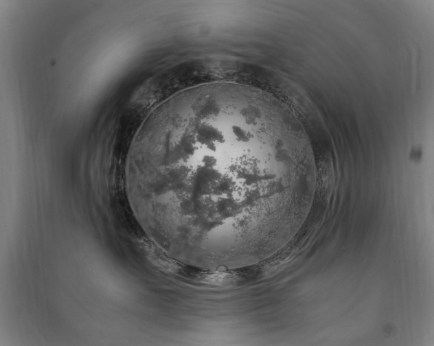 X0000091490527200708161441