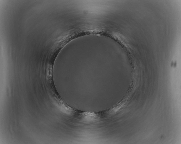 X0000091490528200708161441