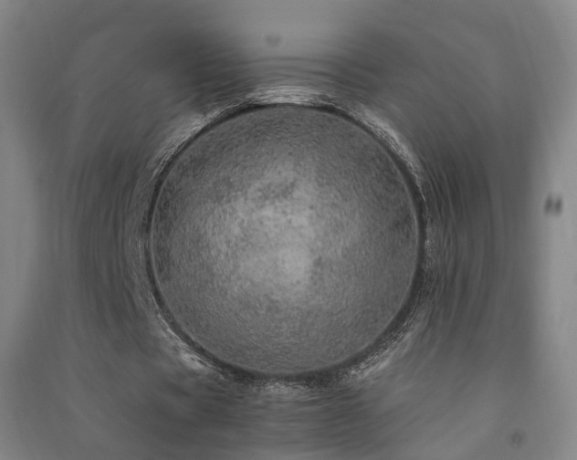 X0000091490529200708161440