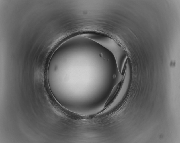 X0000091490530200708161440