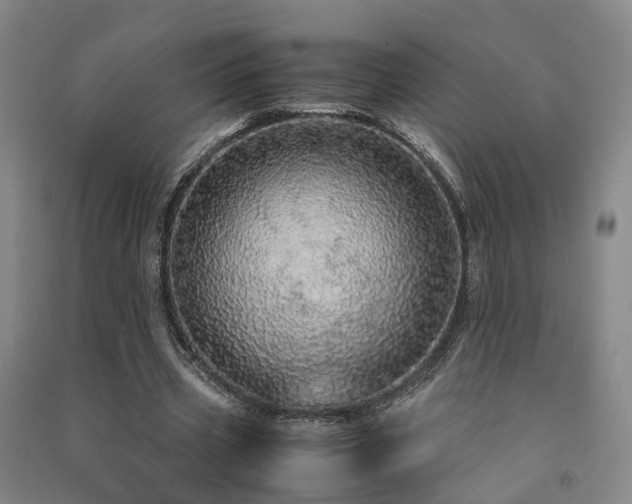 X0000091490533200708161440