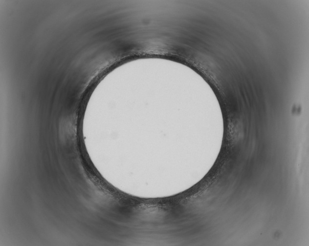 X0000091490534200708161440