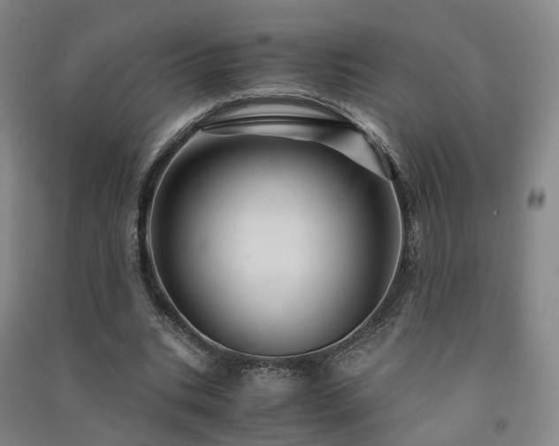 X0000091490535200708161440