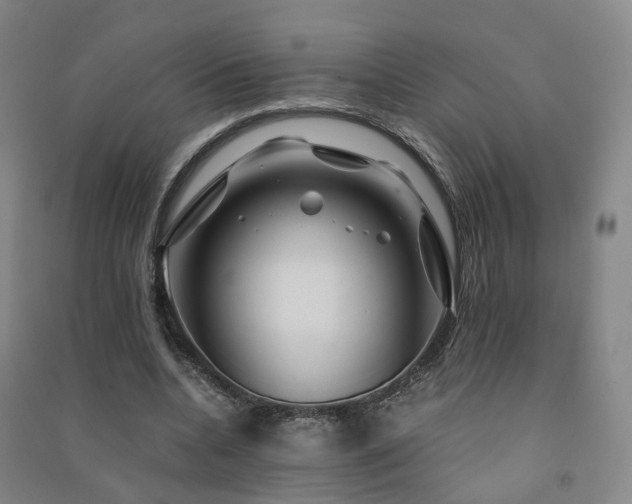 X0000091490536200708161440