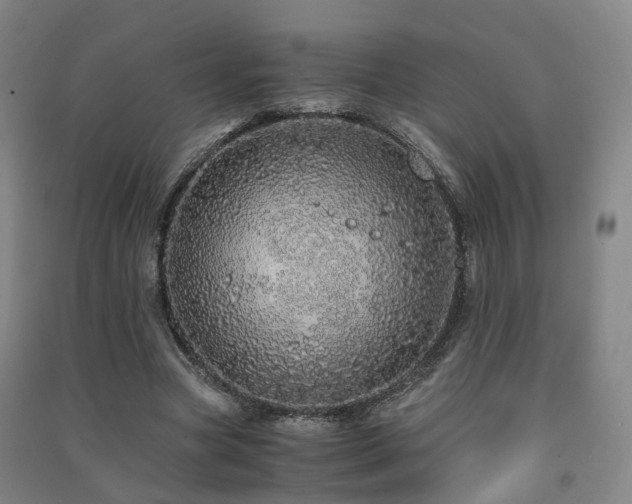 X0000091490537200708161440