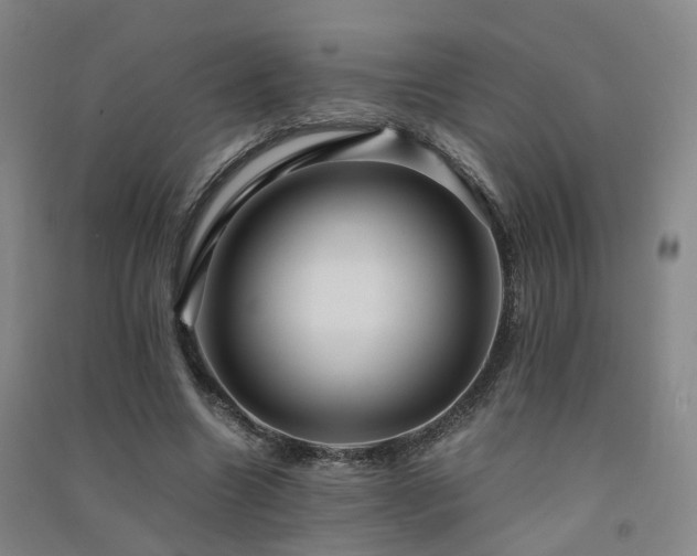 X0000091490538200708161440