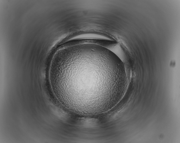 X0000091490539200708161440