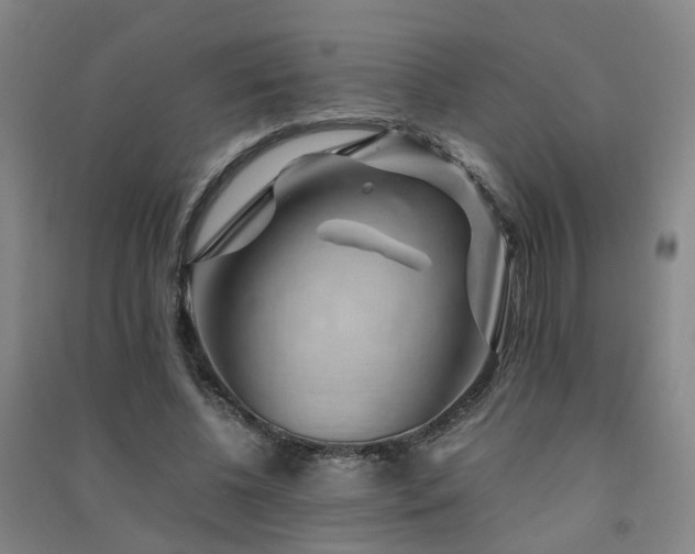 X0000091490540200708161440