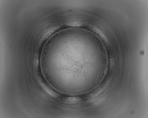 X0000091490541200708161440