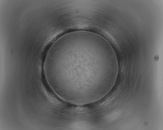 X0000091490542200708161440