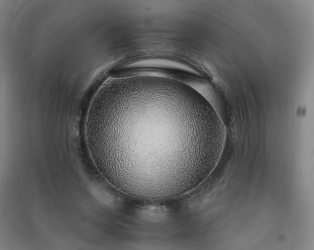 X0000091490543200708161440