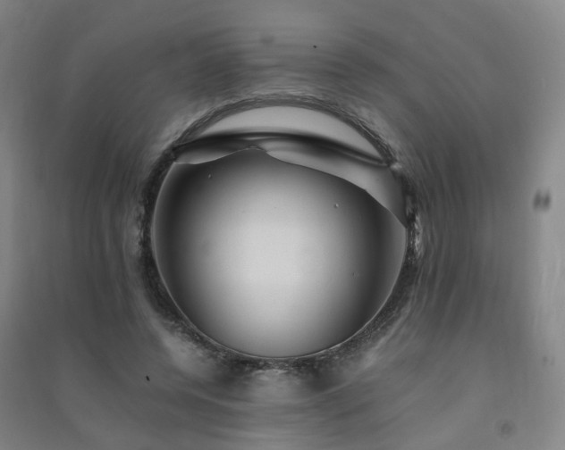 X0000091490544200708161440