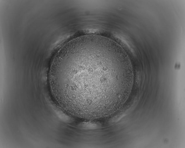 X0000091490545200708161440