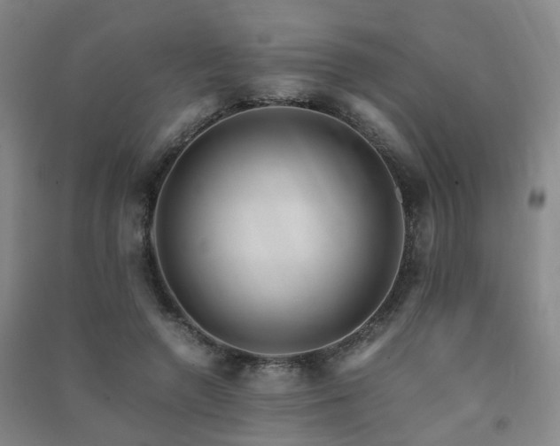 X0000091490546200708161441