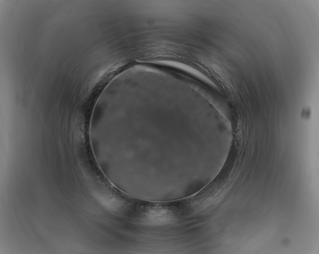 X0000091490547200708161441