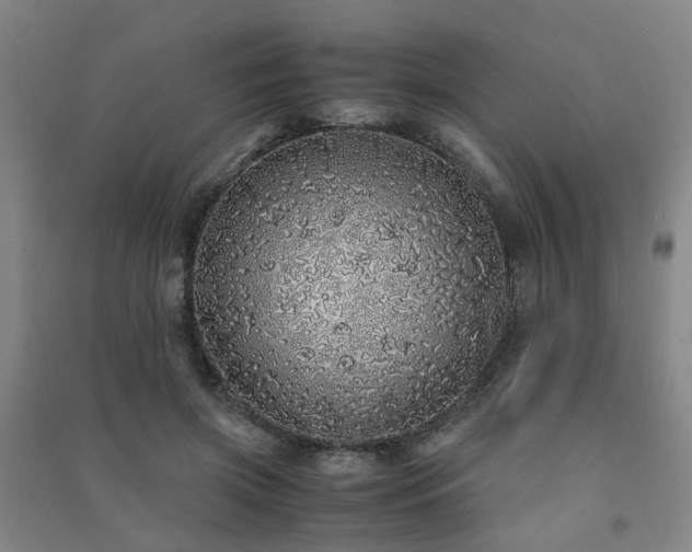 X0000091490549200708161441
