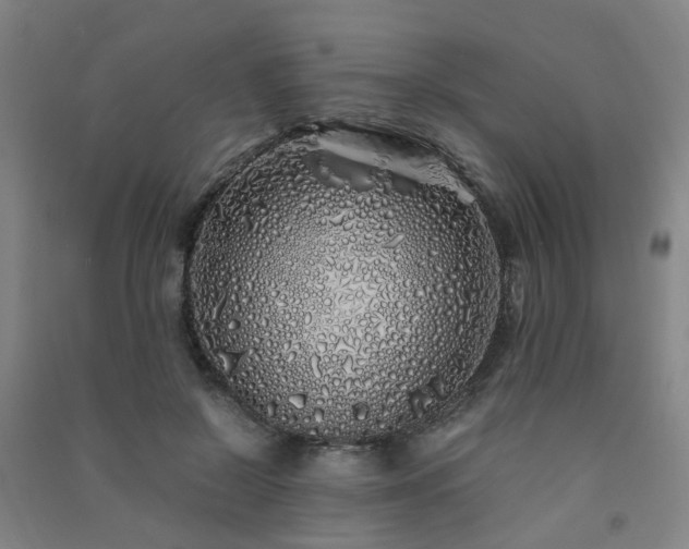 X0000091490550200708161441