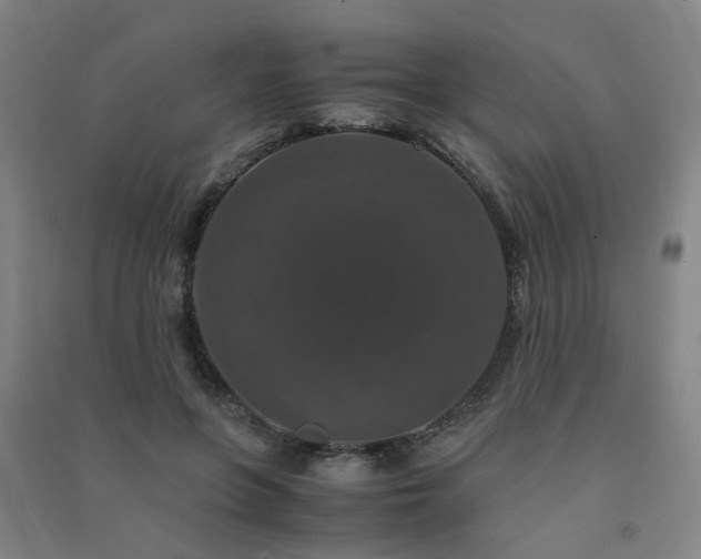 X0000091490551200708161441