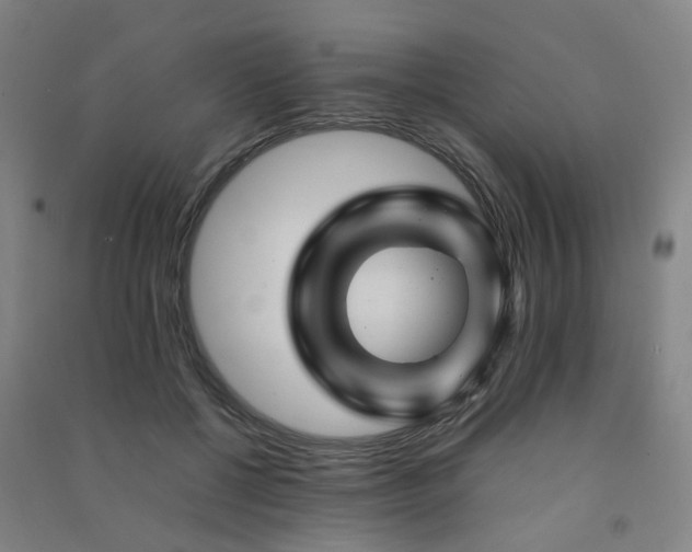 X0000091490552200708161441