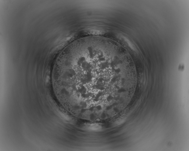 X0000091490553200708161441