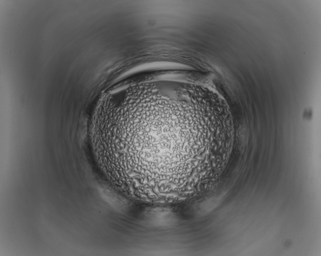 X0000091490554200708161441