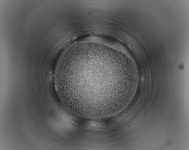 X0000091490555200708161441